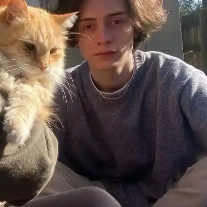 6686体育app金牌作者专属的成见