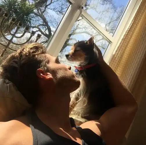 6686体育app中级作者近在远方