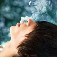 6686体育app铁牌作者Xenia