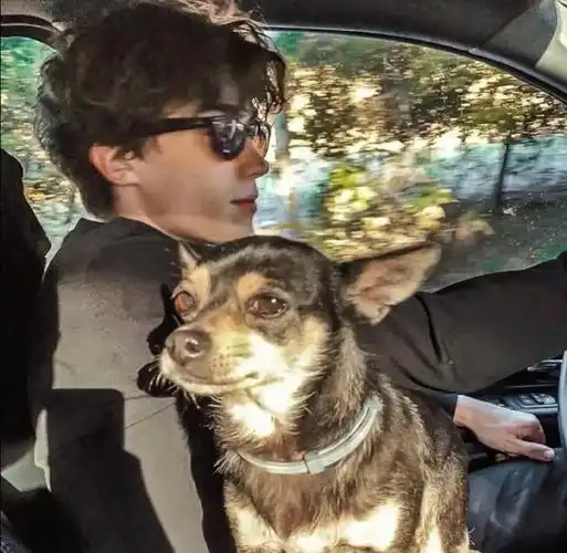 6686体育app签约作者Benjamin