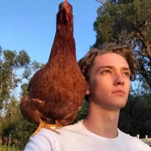 6686体育app签约作者Octavia